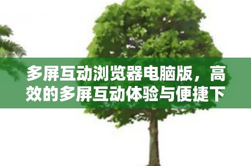 高效的多屏互动体验与便捷下载指南图片