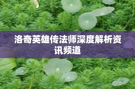洛奇英雄传法师深度解析资讯频道图片