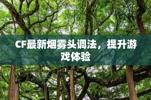 CF最新烟雾头调法图片