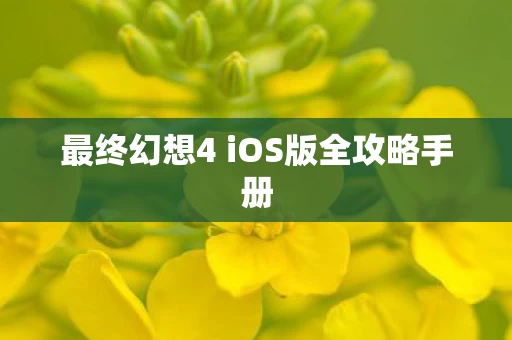 最终幻想4 iOS版全攻略手册图片