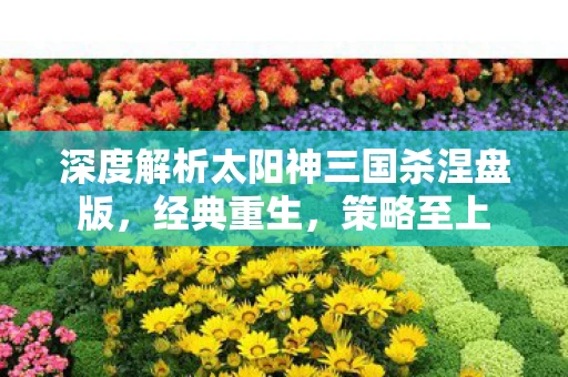 深度解析太阳神三国杀涅盘版图片