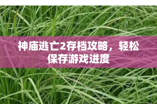 神庙逃亡2存档攻略图片