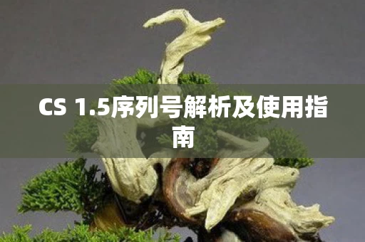 5序列号解析及使用指南图片
