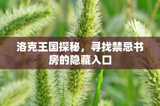 寻找禁忌书房的隐藏入口图片