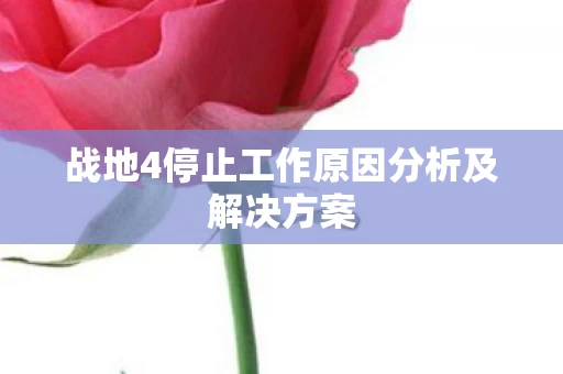 战地4停止工作原因分析及解决方案图片