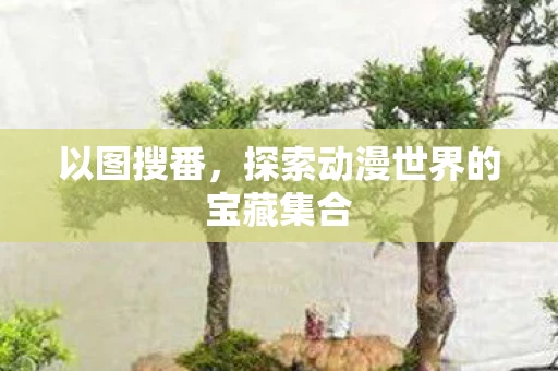 探索动漫世界的宝藏集合图片