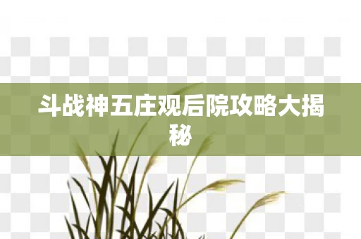 斗战神五庄观后院攻略大揭秘图片