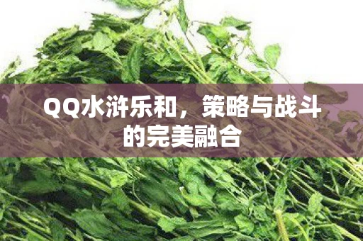 策略与战斗的完美融合图片