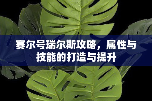 属性与技能的打造与提升图片