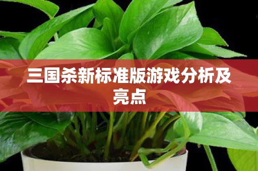 三国杀新标准版游戏分析及亮点图片