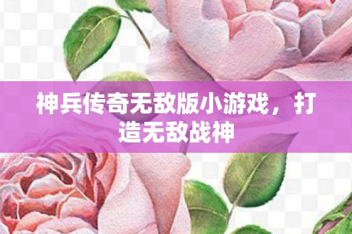 神兵传奇无敌版小游戏图片