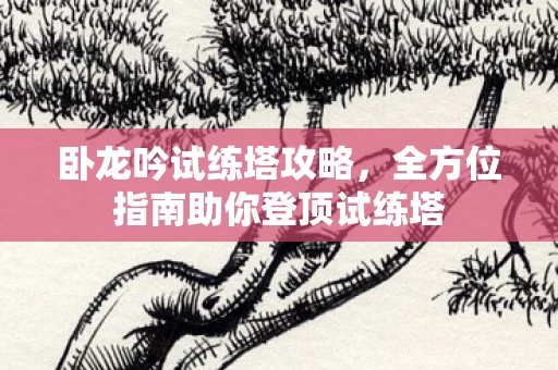 全方位指南助你登顶试练塔图片