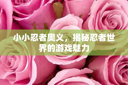 揭秘忍者世界的游戏魅力图片