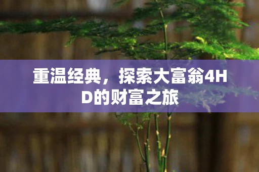 探索大富翁4HD的财富之旅图片