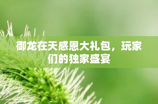 御龙在天感恩大礼包图片