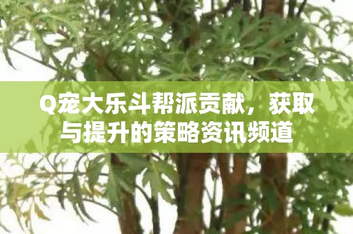 获取与提升的策略资讯频道图片