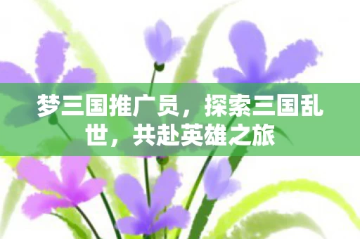 梦三国推广员图片