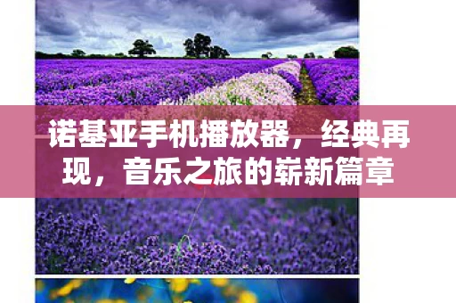 音乐之旅的崭新篇章图片