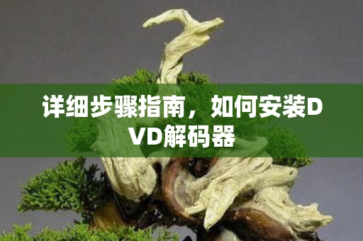 如何安装DVD解码器图片