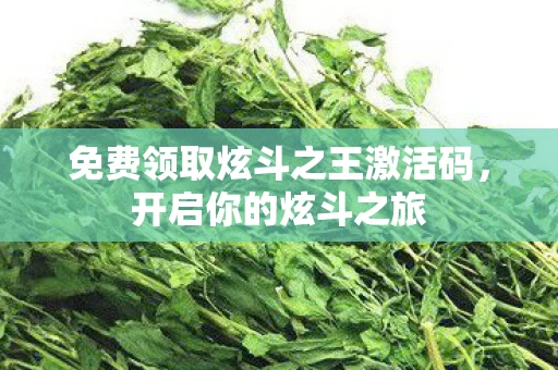 免费领取炫斗之王激活码图片