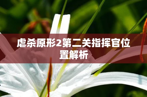 虐杀原形2第二关指挥官位置解析图片