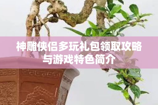 神雕侠侣多玩礼包领取攻略与游戏特色简介图片