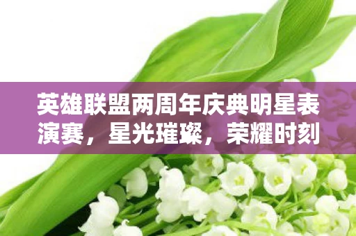 英雄联盟两周年庆典明星表演赛图片