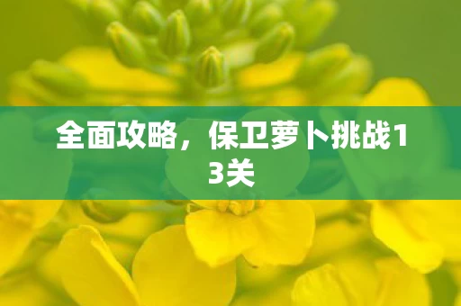 保卫萝卜挑战13关图片