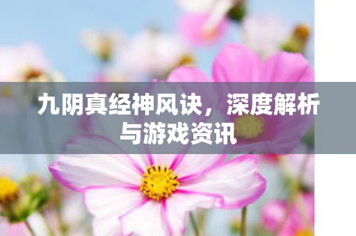 深度解析与游戏资讯图片