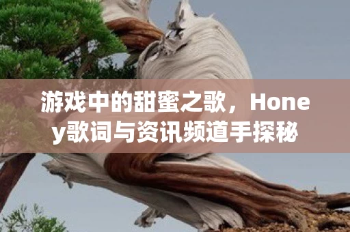 Honey歌词与资讯频道手探秘图片