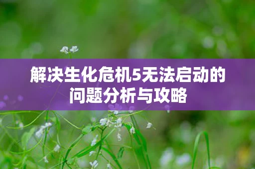 解决生化危机5无法启动的问题分析与攻略图片