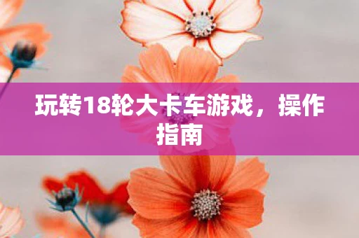 玩转18轮大卡车游戏图片