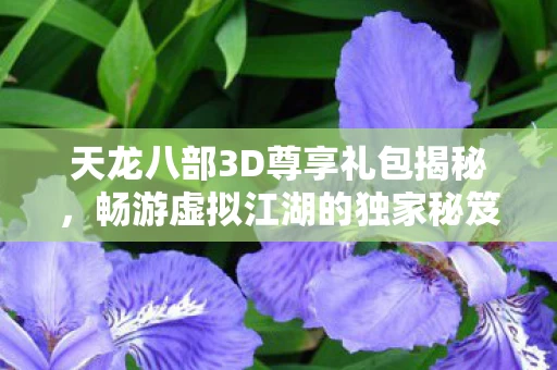 天龙八部3D尊享礼包揭秘图片
