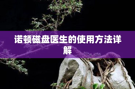 诺顿磁盘医生的使用方法详解图片