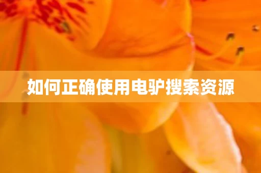 如何正确使用电驴搜索资源图片