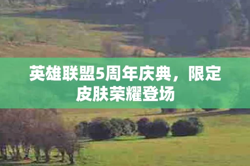 英雄联盟5周年庆典图片