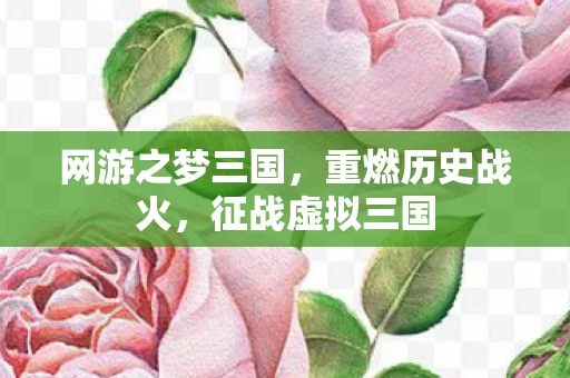网游之梦三国图片