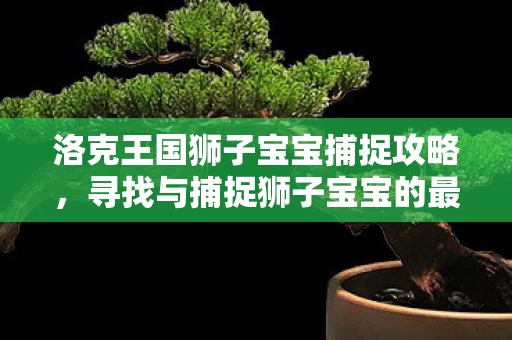 寻找与捕捉狮子宝宝的最佳地点图片