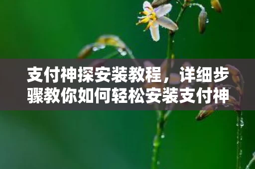 详细步骤教你如何轻松安装支付神探软件图片