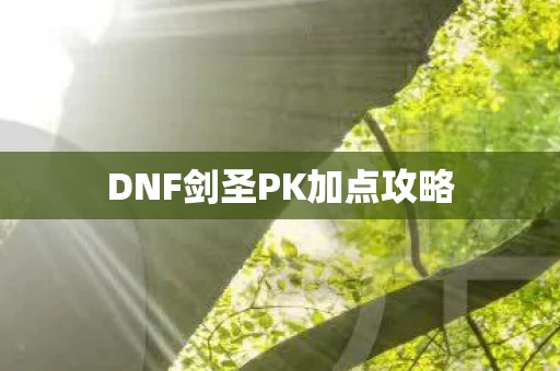 DNF剑圣PK加点攻略图片
