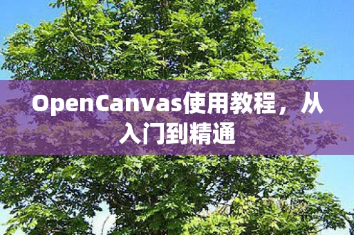 OpenCanvas使用教程图片