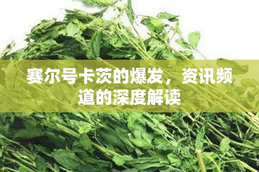 资讯频道的深度解读图片
