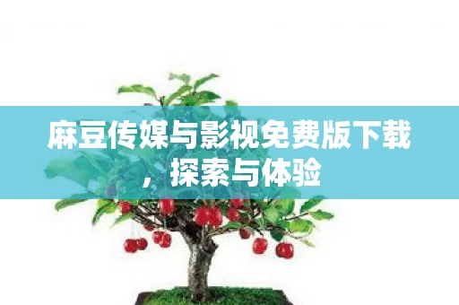 麻豆传媒与影视免费版下载图片