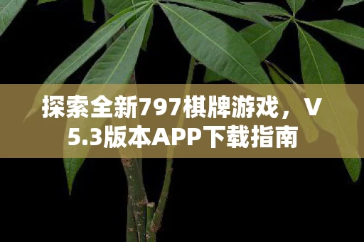 探索全新797棋牌游戏图片
