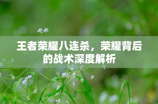 荣耀背后的战术深度解析图片