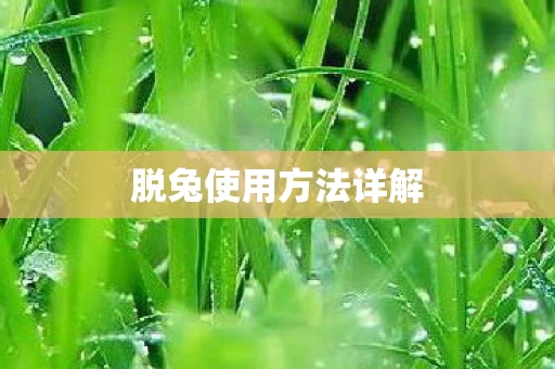 脱兔使用方法详解图片