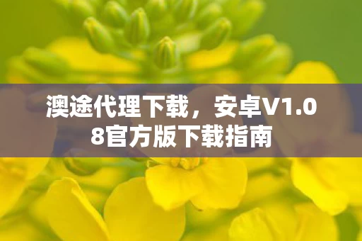 08官方版下载指南图片