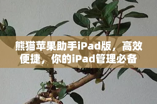 你的iPad管理必备工具图片