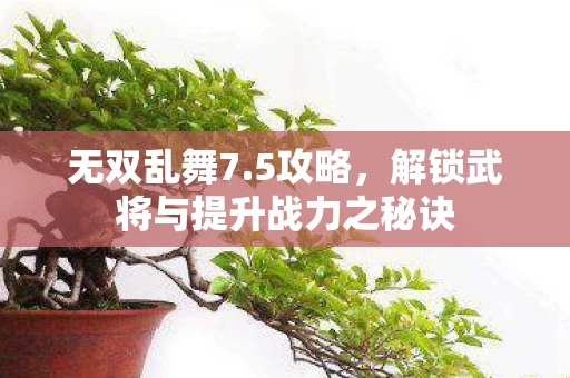解锁武将与提升战力之秘诀图片