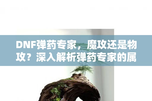 深入解析弹药专家的属性选择图片